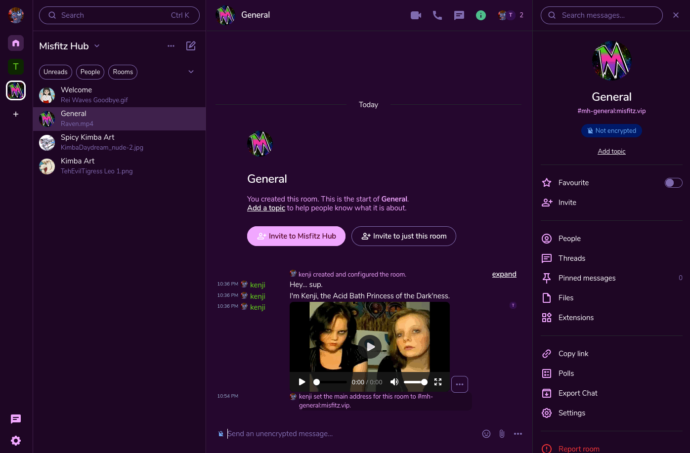 Screenshot of The Misfitz Chat Platform
